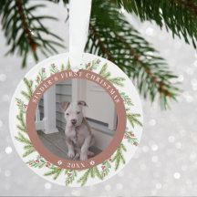 Huisdier Puppy Hond Eerste Kerstmis 2 Foto's Groen