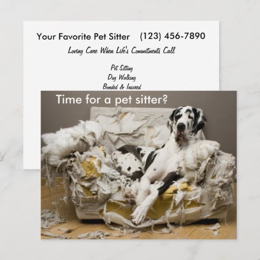 Huisdier Sitter Grote Deen op Kauwbank Briefkaart (Voorkant / Achterkant)