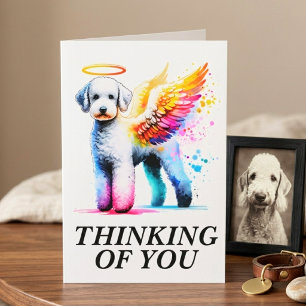 Huisdier Sympathie Bedlington Terrier Engel Hond H Kaart