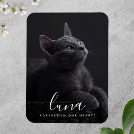 Huisdier sympathie gedenkteken herdenking magneet