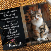 Huisdier Sympathie Gepersonaliseerde Foto Kat Verl Kaart