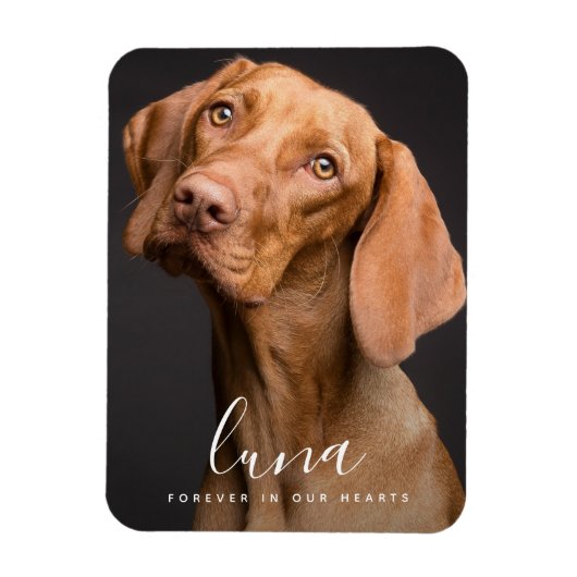 Huisdier sympathie kaart gedenkteken eerbetoon magneet (Verticaal)