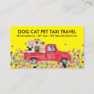 Huisdier Taxi Dierenarts Bezoek Transport Visitekaartje