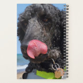 Huisdier Thema Dagelijkse Planner (Achterkant)