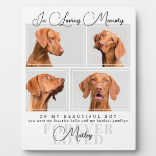 Huisdier Verlies Cadeau Hond Kat Herdenkingsfoto C Fotoplaat