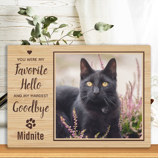 Huisdier Verlies Kat Herdenking Fotoplaat