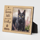 Huisdier Verlies Kat Herdenking Fotoplaat (Zijkant)