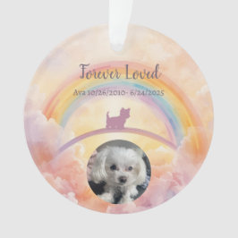 Huisdier Verlies Ornament – Watercolor Hemel & Poo