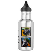 Huisdier Vogel Foto's Houd Kalm En Scratch Macaw C Waterfles (Rechts)