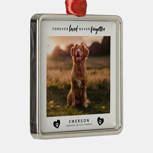 Huisdier voor altijd geliefd nooit vergeten fotobl metalen ornament (Rechts)