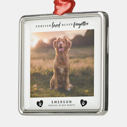 Huisdier voor altijd geliefd nooit vergeten fotobl metalen ornament (Links)