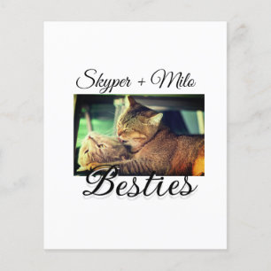 Huisdier vrienden besties voeg naam toe huisdier f