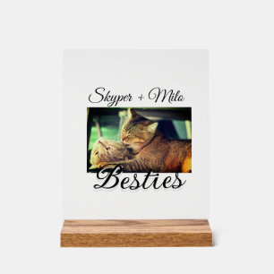 Huisdier vrienden besties voeg naam toe huisdier f acryl bord