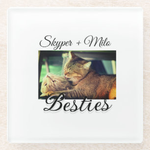 Huisdier vrienden besties voeg naam toe huisdier f glazen onderzetter