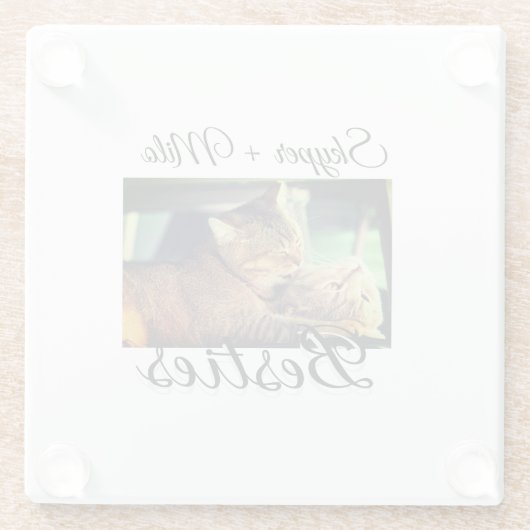 Huisdier vrienden besties voeg naam toe huisdier f glazen onderzetter (Achterkant)