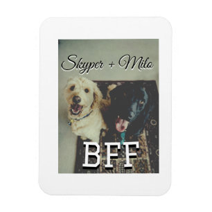 Huisdier vrienden besties voeg naam toe huisdier f magneet