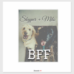 Huisdier vrienden besties voeg naam toe huisdier f sticker
