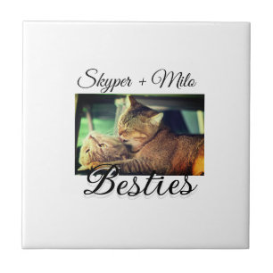 Huisdier vrienden besties voeg naam toe huisdier f tegeltje