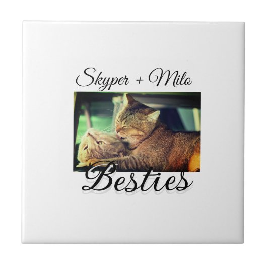 Huisdier vrienden besties voeg naam toe huisdier f tegeltje (Voorkant)