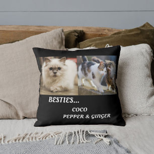 Huisdier Vrienden Kat Foto Namen Beste Vriendinnen Kussen