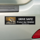 HUISDIER & WILDLIFE BESCHERMING BUMPERSTICKERS (Op auto)