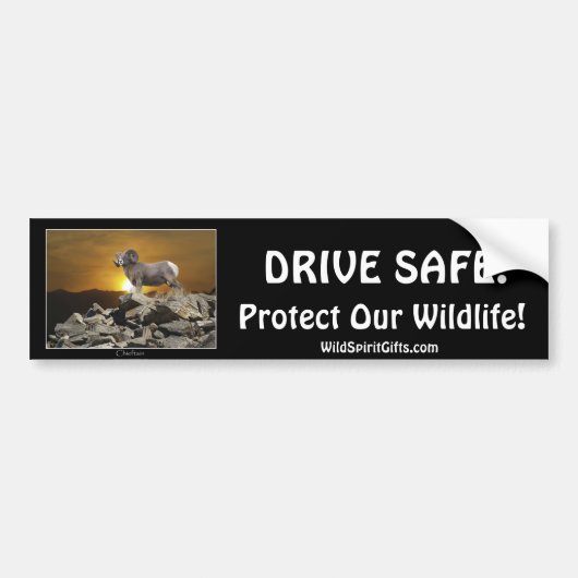HUISDIER & WILDLIFE BESCHERMING BUMPERSTICKERS (Voorkant)