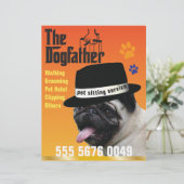 Huisdier Zitten 🐾 Dogfather Dog Walker Betrouwbaa (Staand voorkant)