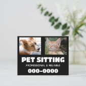 Huisdier Zittend bedrijf met hond en kat foto's Briefkaart (Staand voorkant)
