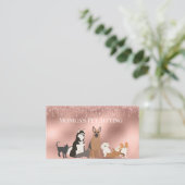 Huisdier Zittende Hond Kat Huisdier Zittend Roos g Visitekaartje (Staand voorkant)