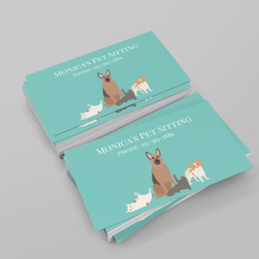 Huisdier Zittende Hond Kat Training Grooming Dagop Visitekaartje