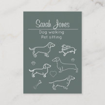 Huisdier Zittende Hond Wandelen Sitter Honden Katt