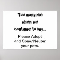 Huisdieren Adopteer Sterilisatie Castratie Huisdie