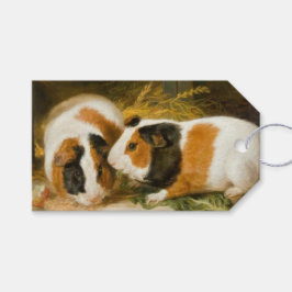 Huisdieren Cavia's Feeding (door James Ward) Cadeaulabel