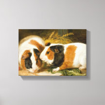 Huisdieren Cavia's Feeding (door James Ward)