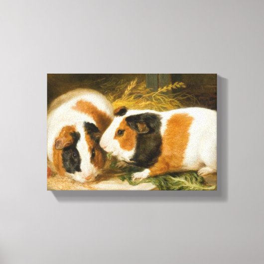 Huisdieren Cavia's Feeding (door James Ward) Canvas Afdruk (Voorkant)