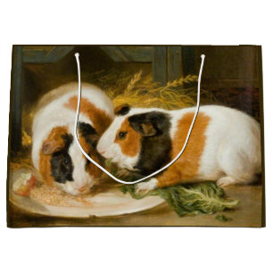 Huisdieren Cavia's Feeding (door James Ward) Groot Cadeauzakje