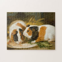 Huisdieren Cavia's Feeding (door James Ward)