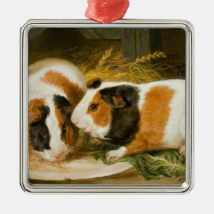 Huisdieren Cavia's Feeding (door James Ward) Metalen Ornament