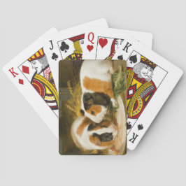 Huisdieren Cavia's Feeding (door James Ward) Pokerkaarten