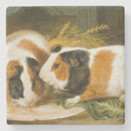 Huisdieren Cavia's Feeding (door James Ward) Stenen Onderzetter