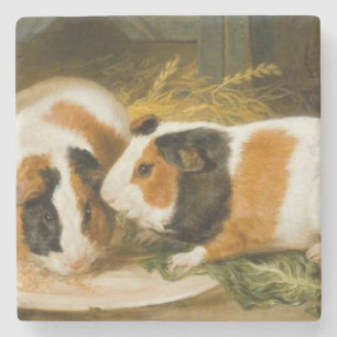 Huisdieren Cavia's Feeding (door James Ward) Stenen Onderzetter