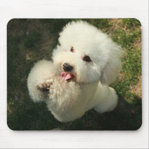 Huisdieren, hond, poedel muismat