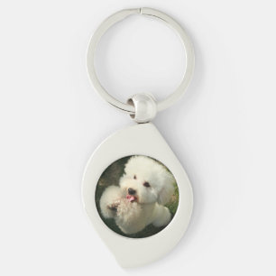 Huisdieren, hond, poedel sleutelhanger