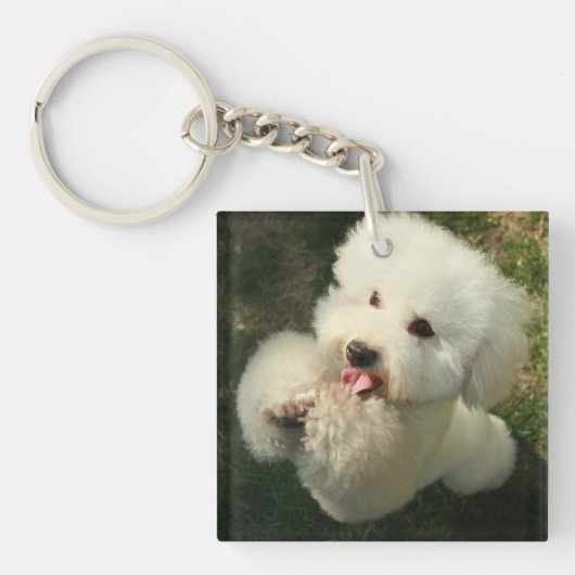 Huisdieren, hond, poedel sleutelhanger (voorkant)