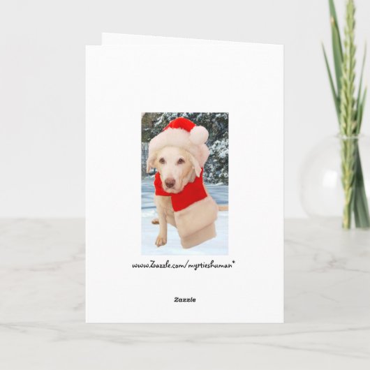  huisdieren in de Alpen Feestdagen Kaart (Achterkant)