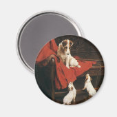  huisdieren, Jack Russel Terrier Dogs Magneet (Voorkant / Achterkant)