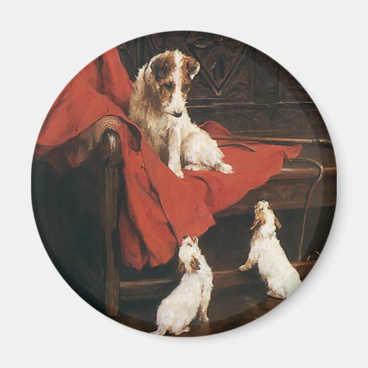  huisdieren, Jack Russel Terrier Dogs Magneet (Voorkant)