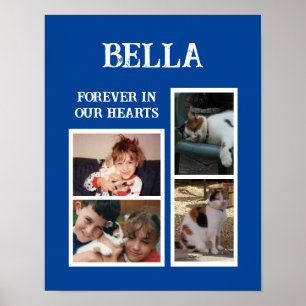 Huisdieren katten 4 foto collage naam toevoegen bl poster