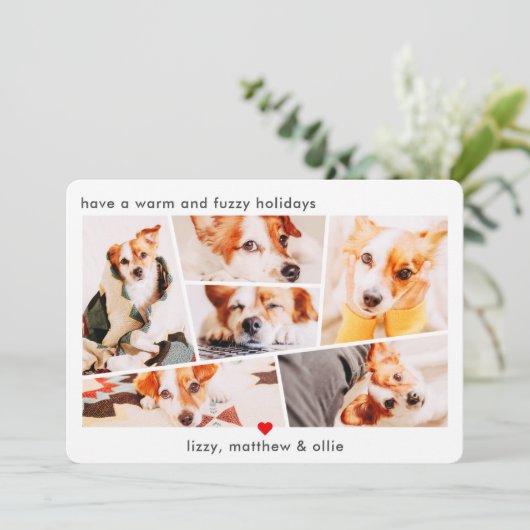 Huisdieren Modern Eenvoudig Aangepast 6 Afbeelding Feestdagenkaart (Staand voorkant)