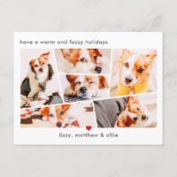 Huisdieren Modern Eenvoudig Aangepaste 6 Afbeeldin